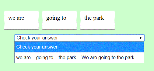Answer Example